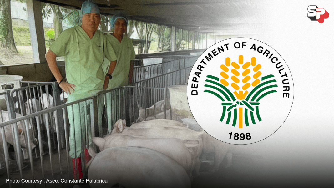 DA adds Lipa, more villages in Batangas ASF vaccination - Sunday Punch