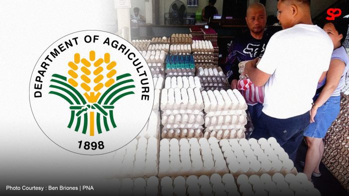 DA: No price spike in eggs, chicken amid bird flu in Camarines Norte