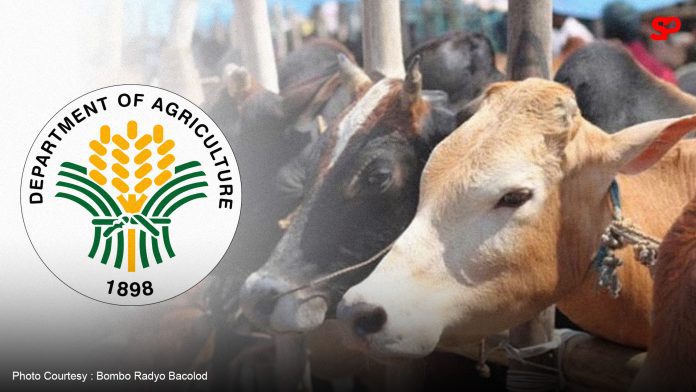 DA bans live cattle, buffalo import from Japan amid LSD outbreak