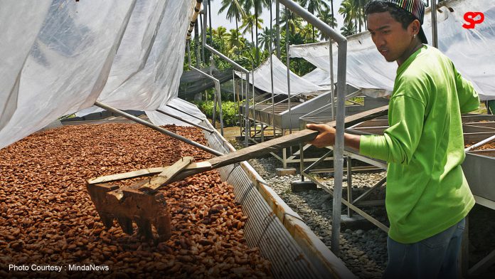 Davao cacao farmer to represent Philippines in Paris competition