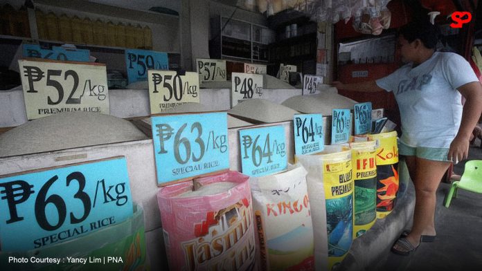 House panel flags collusion among rice importers amid tariff cuts