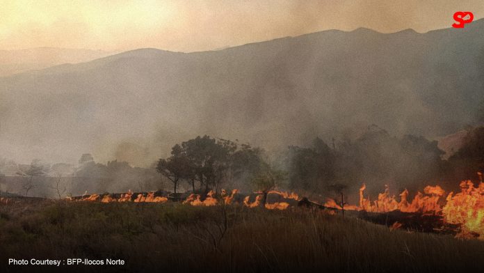 Ilocos Norte strengthens proactive measures against forest fires