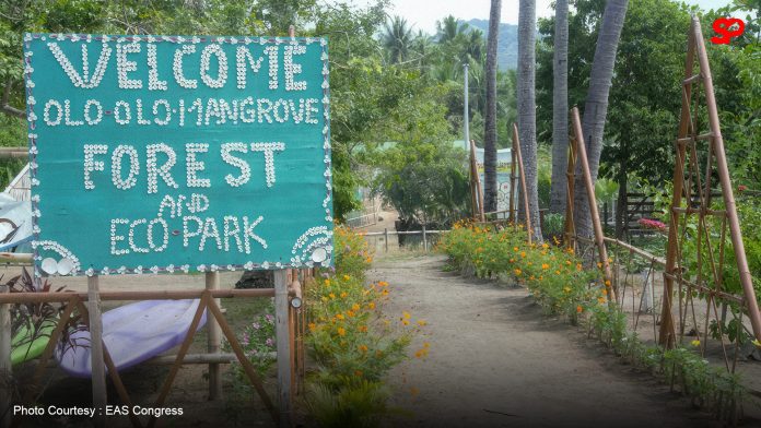 Local authorities in Batangas secure sea turtle eggs found in Olo-Olo mangrove forest