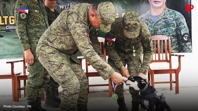 Viscom honors Aspin K9 for role in combat operations