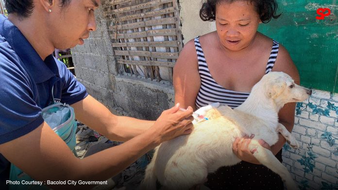 Bacolod City Veterinary Office reports vax efforts in 2024