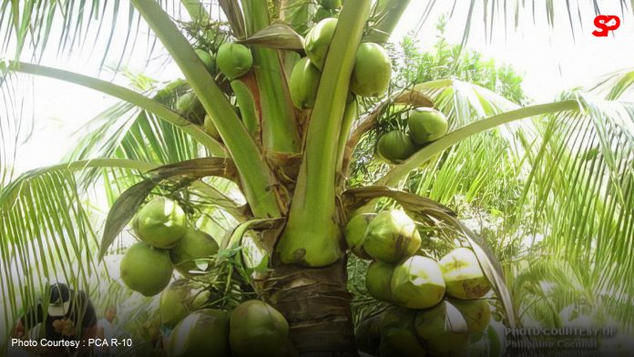 Coconut's removal in USFDA major food allergen list to boost PH export