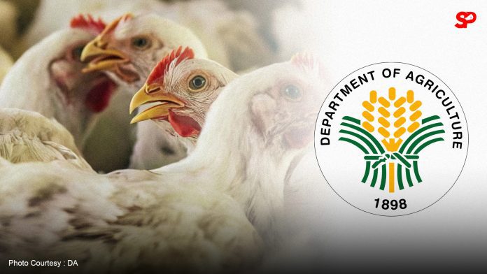 DA bans import of birds, poultry products from New Zealand