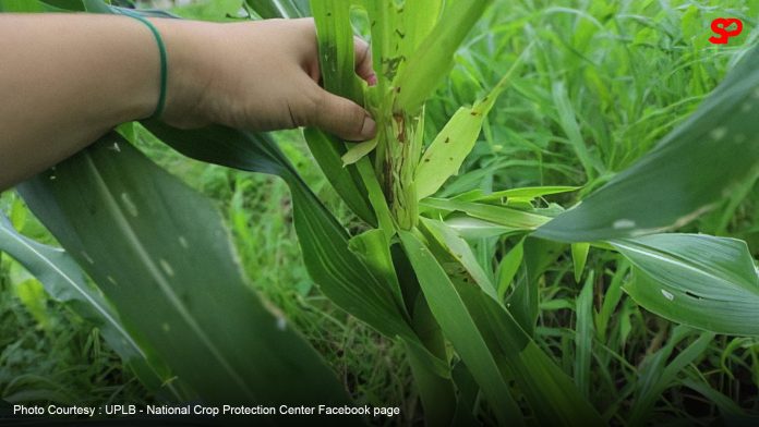 House okays PH agriculturists bill on second reading