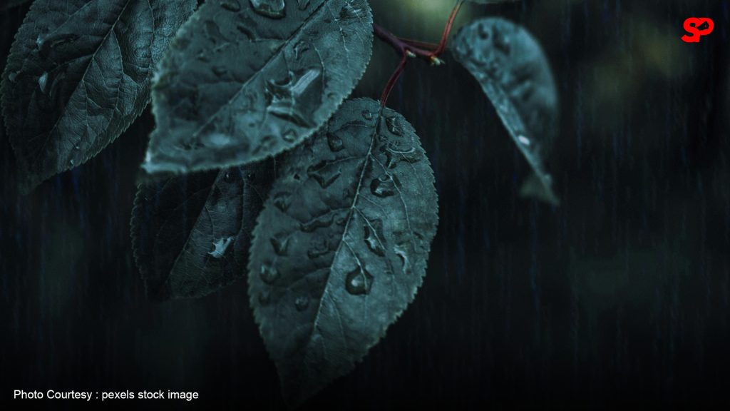 2 weather systems to bring rain over Luzon and raise heat index in key ...