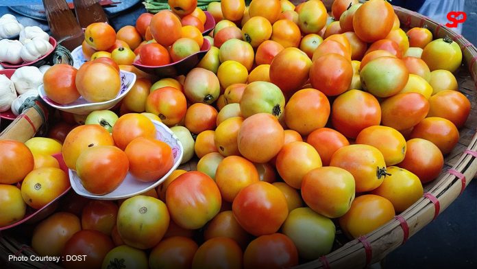 Solon seeks House probe into tomato prices surge