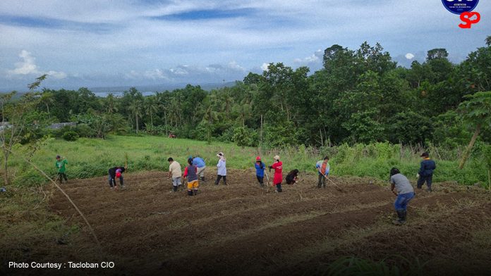 Tacloban strengthens organic agriculture with involvement from TESDA scholars