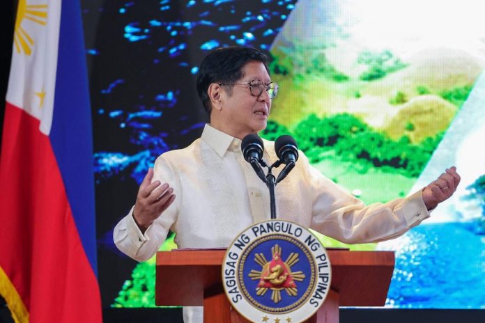 WhatsApp Image 2025-12-11 at 10.52.53 AM